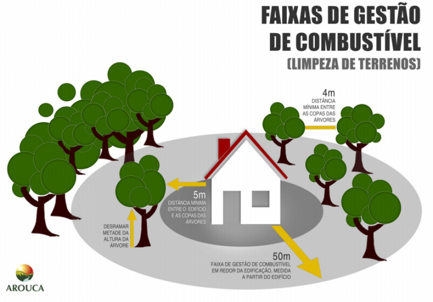 Regras da Limpeza da Floresta